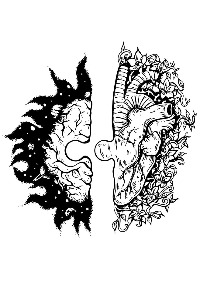 Brain and Heart Fusion