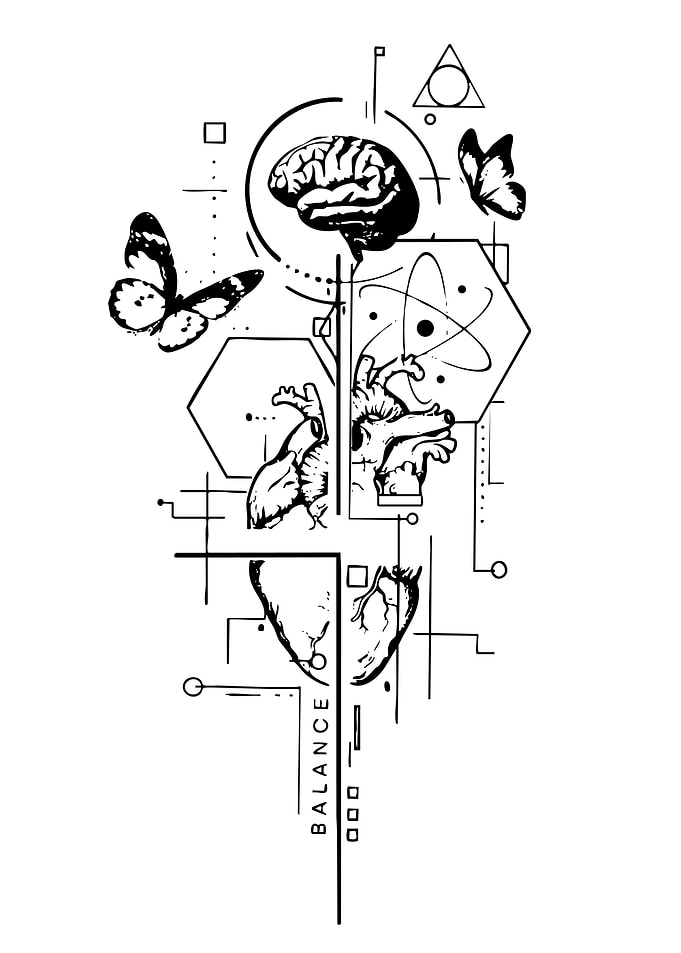 Geometric Brain and Heart Balance