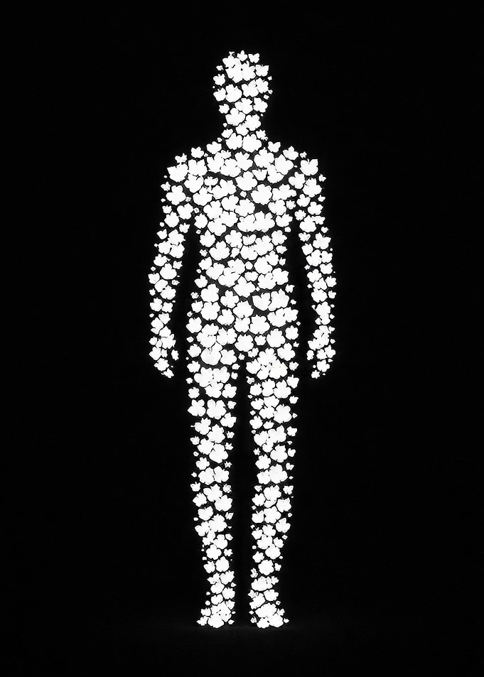 Human Silhouette Made of Flowers