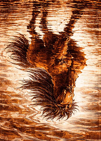 Horse Reflection in Water