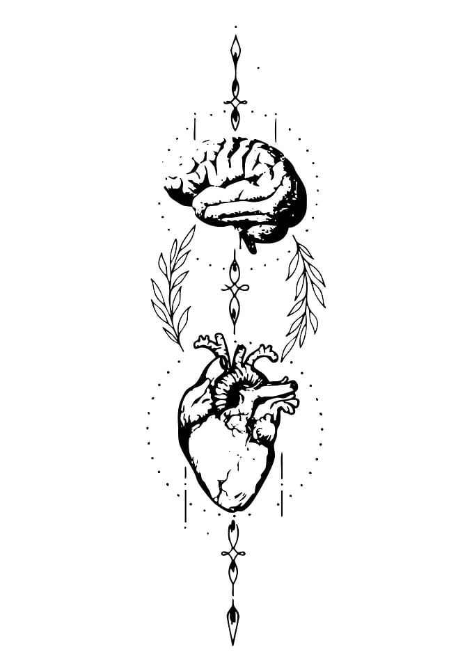 Anatomical Heart and Brain Tattoo Design