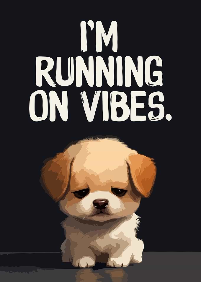 Sad puppy running on vibes