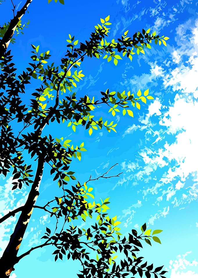 Tree branches against a blue sky