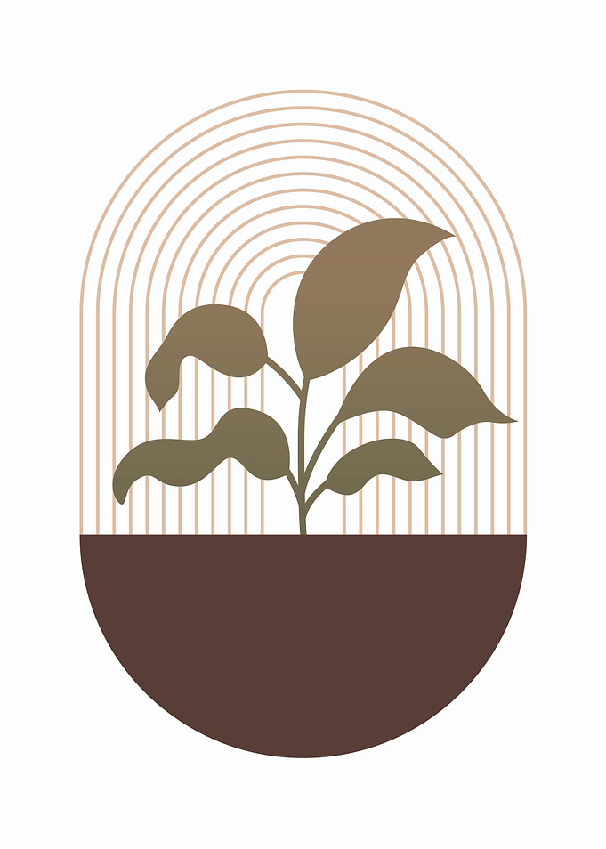 Growing Stillness