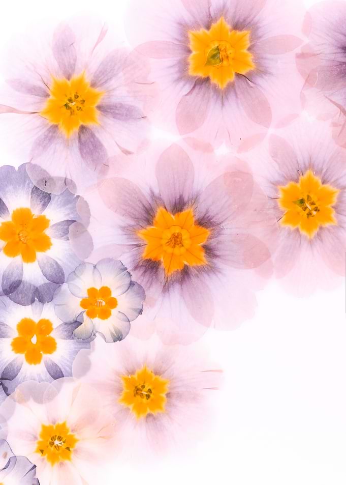 Soft Focus Floral Arrangement
