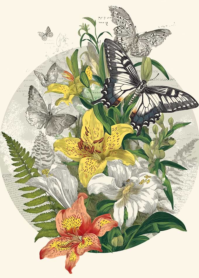 Butterflies and Flowers Illustration