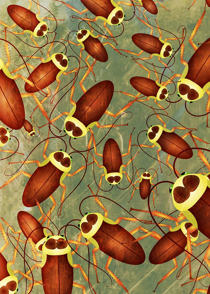 Grunge Cockroach Background Pattern