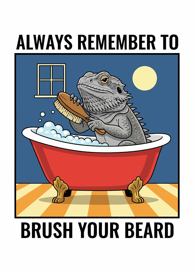 Funny Bearded Dragon Bath
