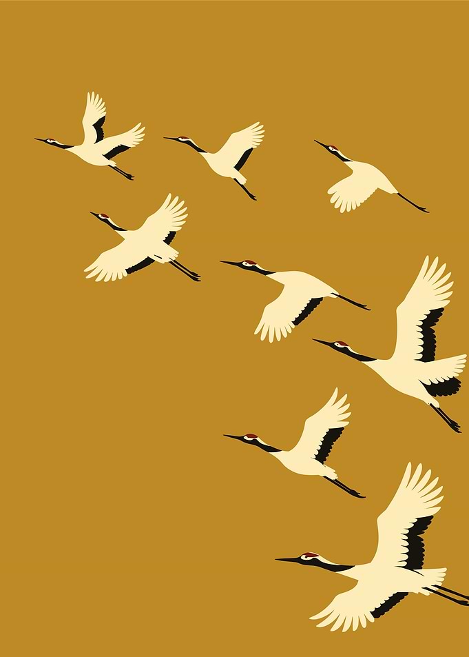 Flock of Cranes in Flight