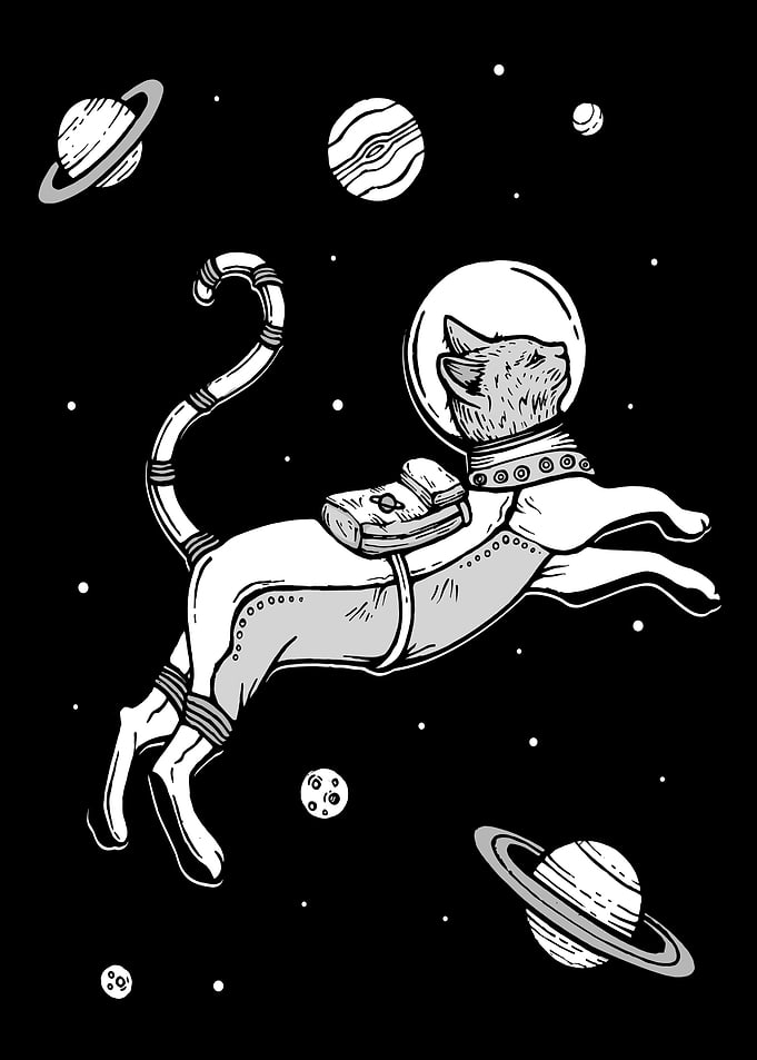 Astronaut Cat in Space