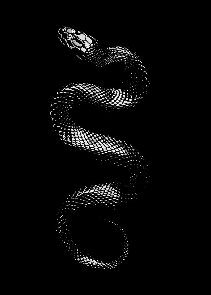 Stylized Black and White Snake