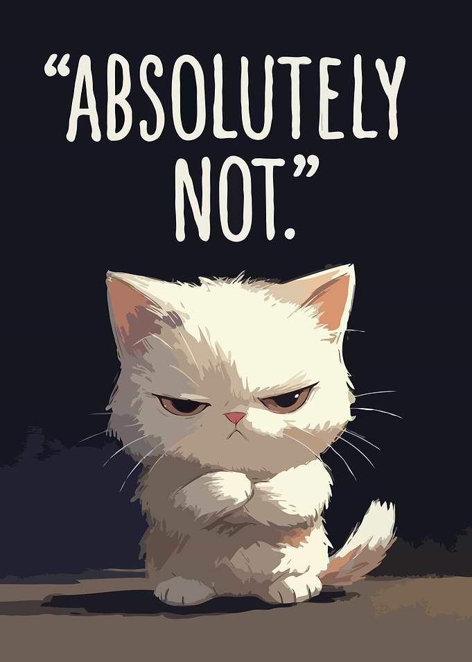 Grumpy Cat Says Absolutely Not