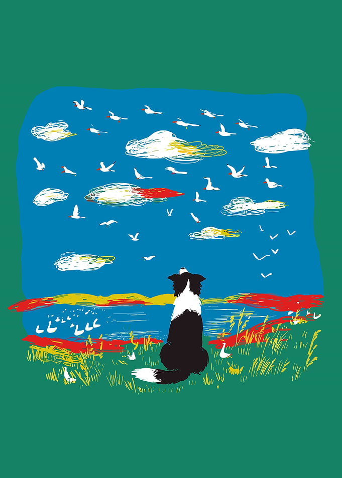 Dog watching birds and clouds