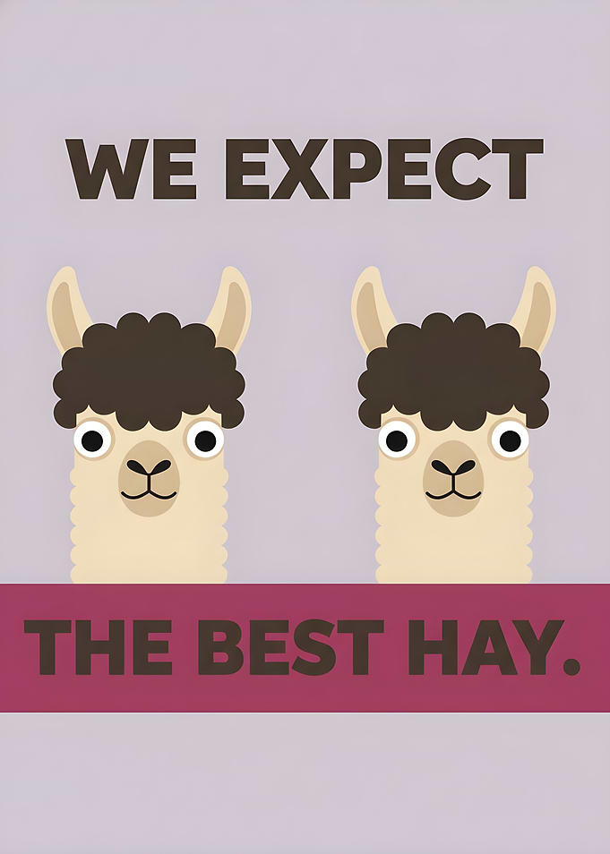 We Expect The Best Hay. Funny Llamas Artwork