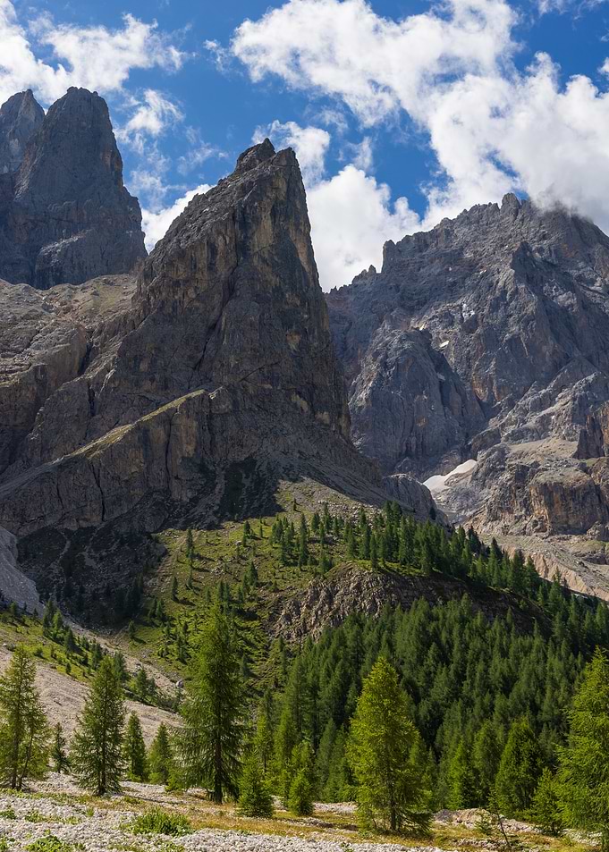 Jagged Mountain Peaks and Pine Forest - Val Venegia - Italy