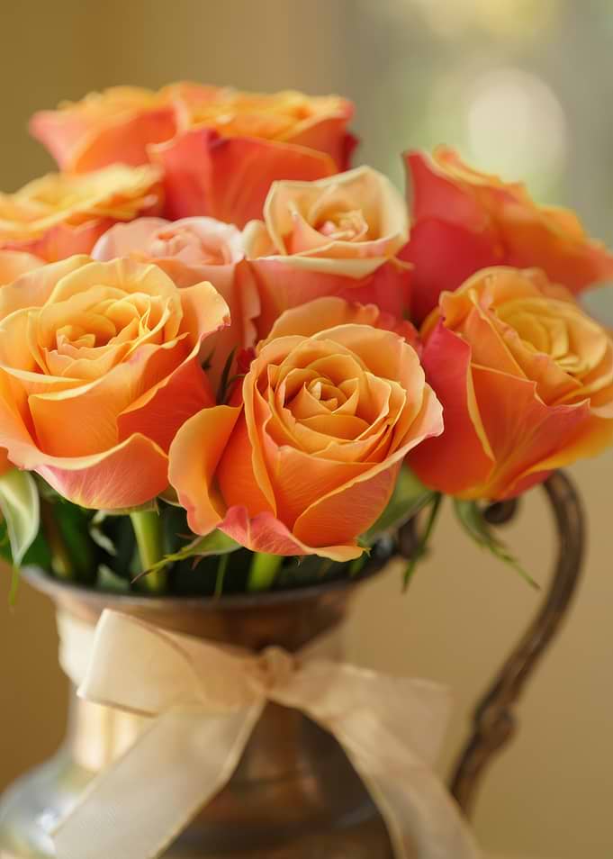 Orange Roses in a Vase
