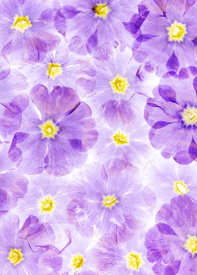 Purple and Yellow Floral Pattern