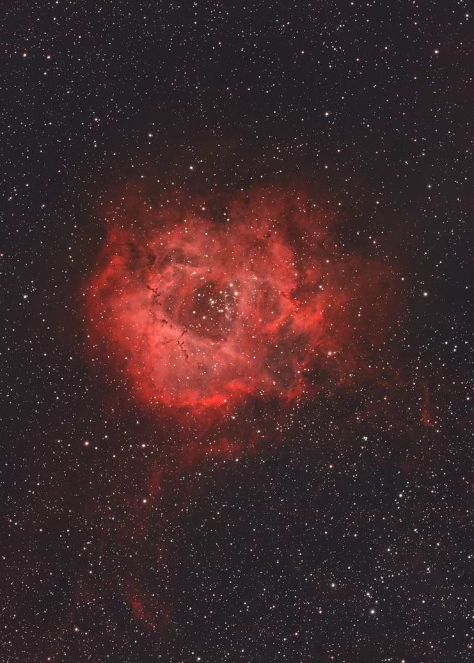 Rosette Nebula