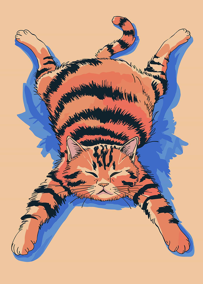 Relaxed Tabby Cat Lying Down