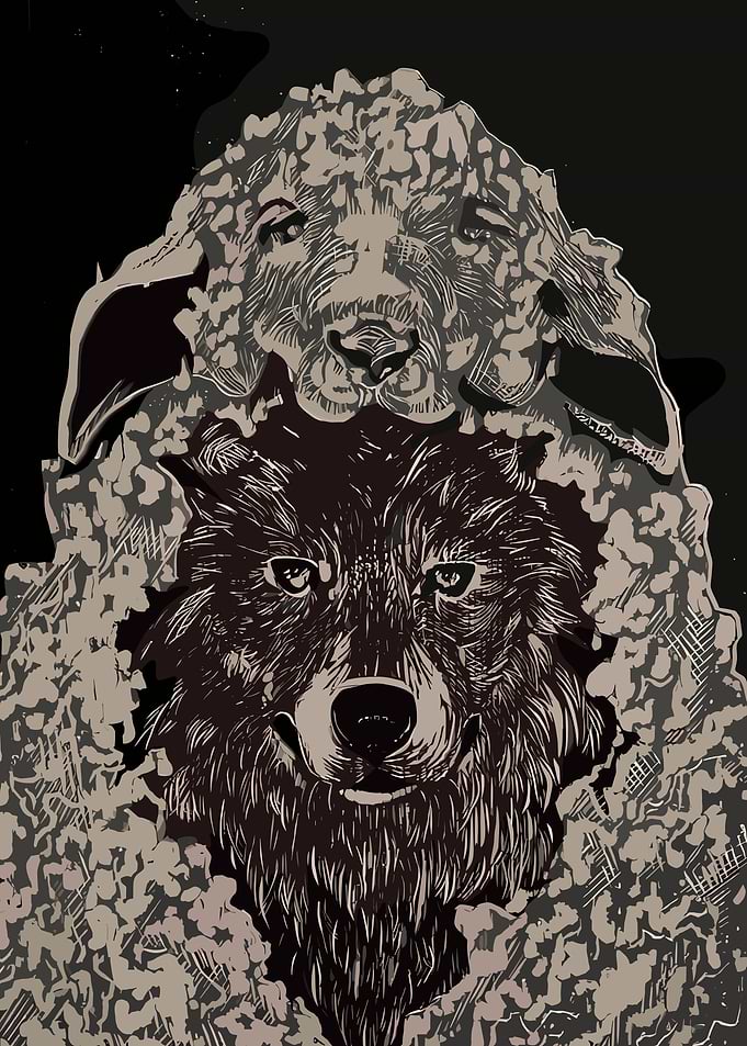 Wolf in Sheep's Clothing