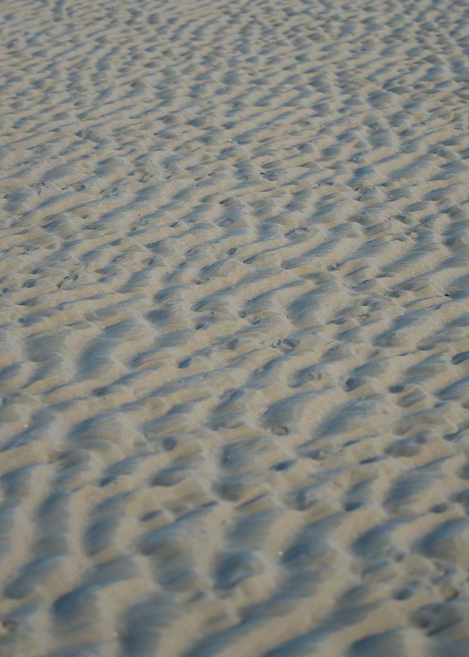 Sand Ripples on a Beach