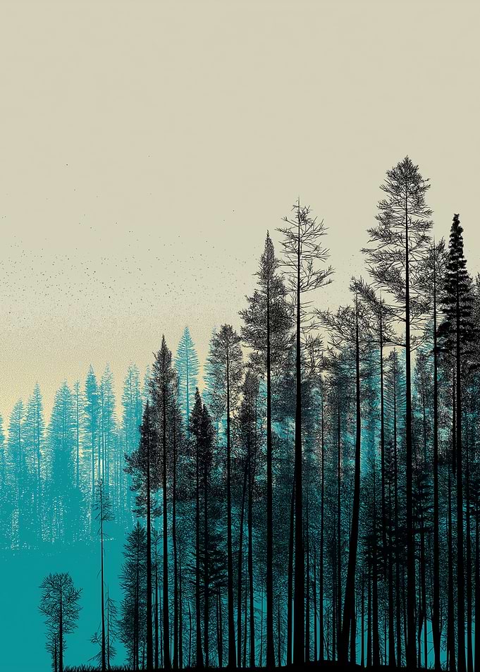 Misty Forest Silhouette