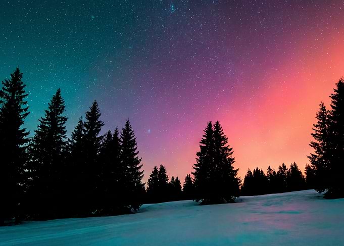 Aurora Borealis over Snowy Forest