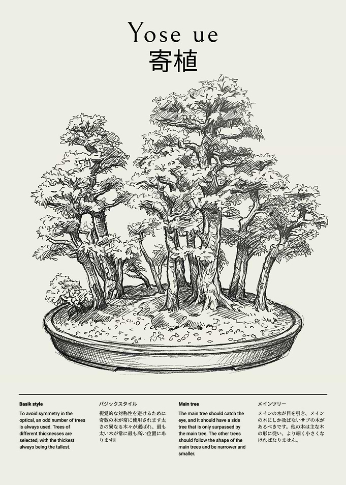 Bonsai Tree Arrangement Illustration Yose ue