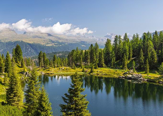 Alpine Lake with Pine Forest and Mountains - Colbricon lake