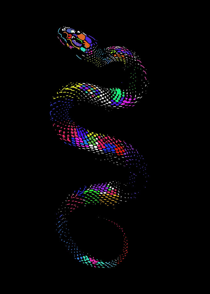 Colorful Snake Illustration