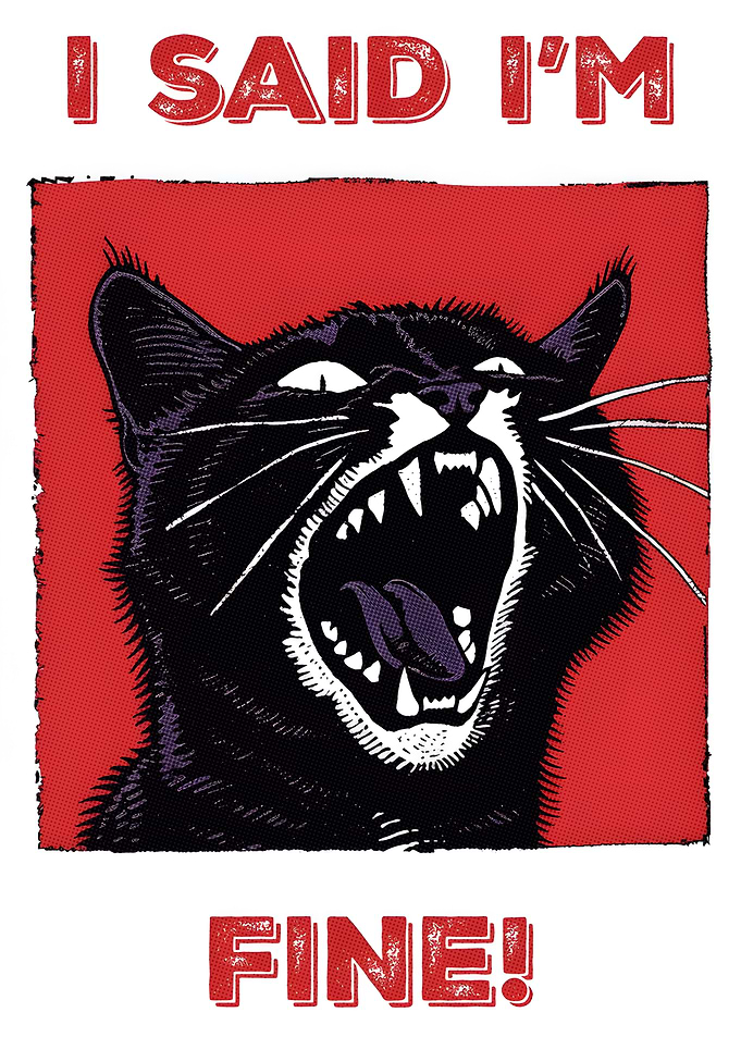 Black Cat Yelling 'I Said I'm Fine!'