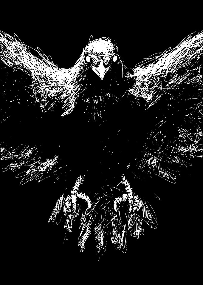 Dark Bird of Prey Illustration