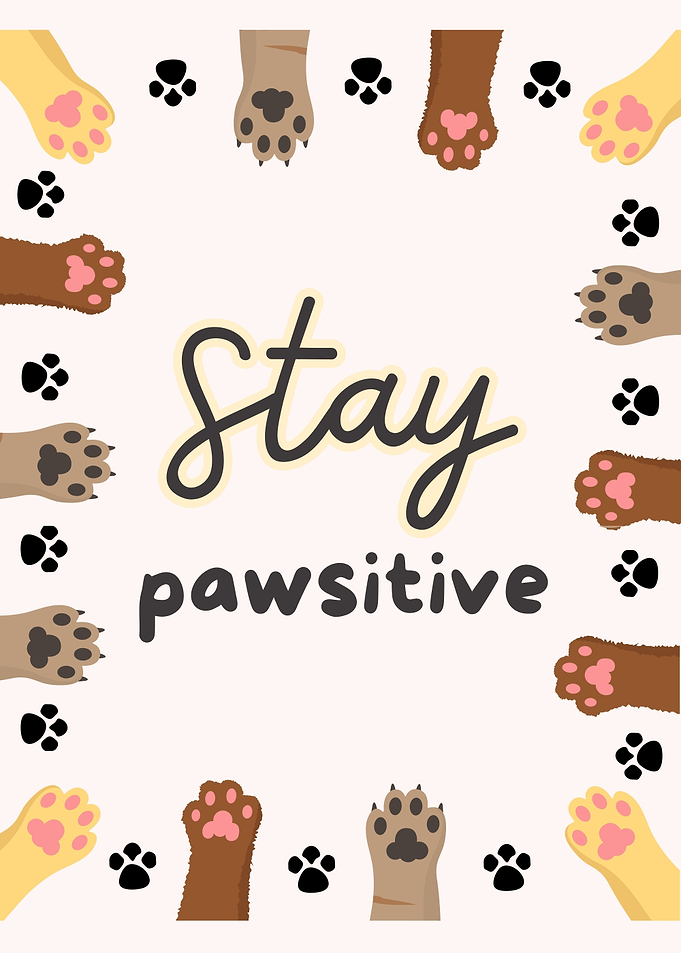 Stay Pawsitive Dog and Cat Paws
