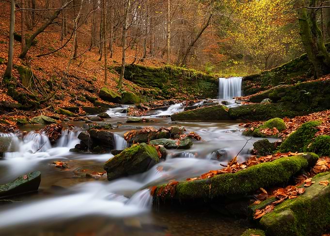 Autumn forest stream with waterfall, Poland