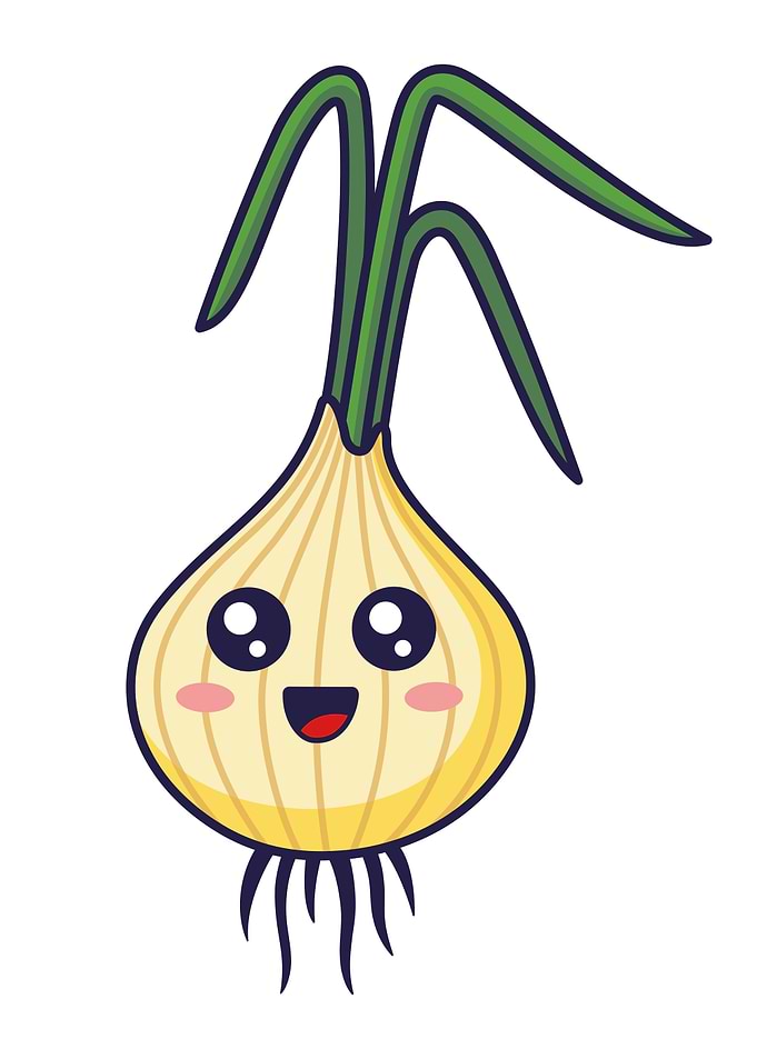 Cute Kawaii Onion Character