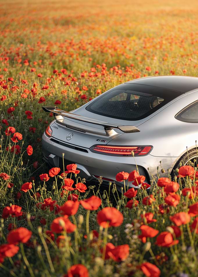 Silver Mercedes AMG GT in Poppy Field