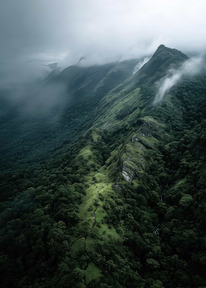 Misty Mountain Ridge with Lush Forest