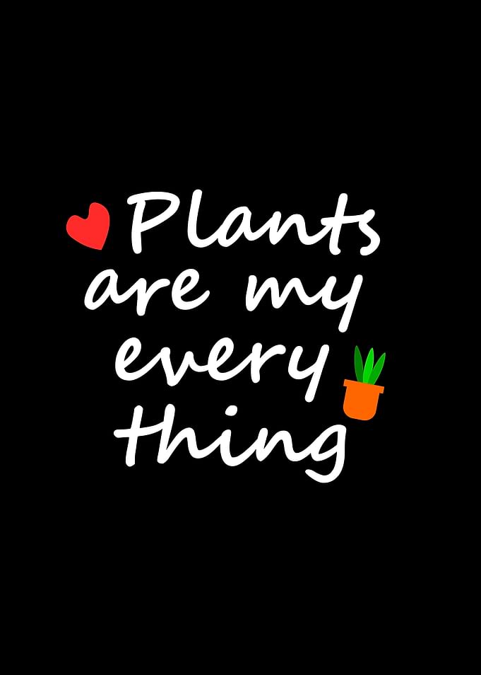 Plants are my everything