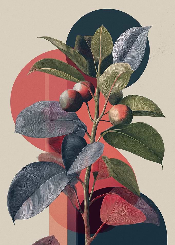 Botanical Illustration with Geometric Shapes