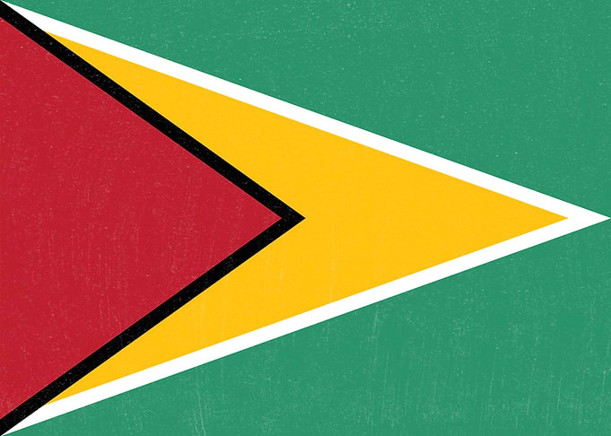 Guyana Flag Distressed