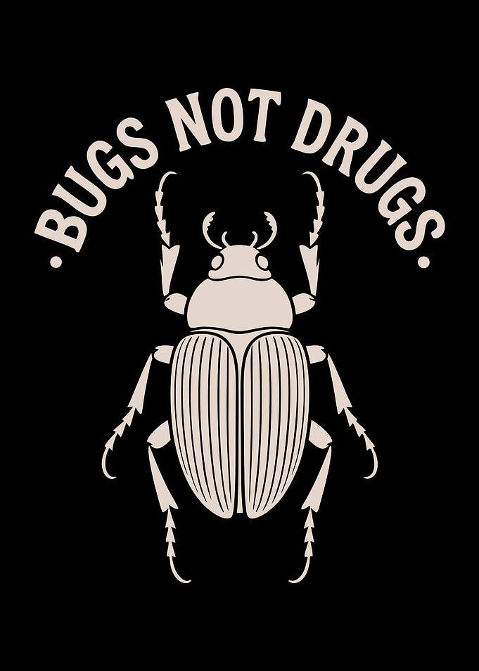Bugs Not Drugs Beetle