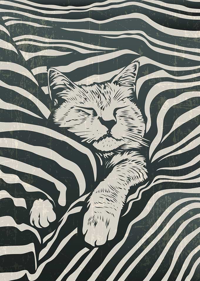 Sleeping Cat