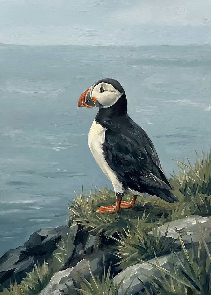 Puffin on a Cliff Overlooking the Ocean