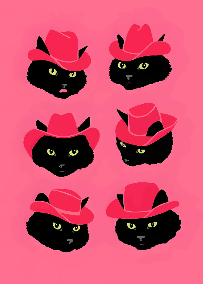 Black Cats in Cowboy Hats
