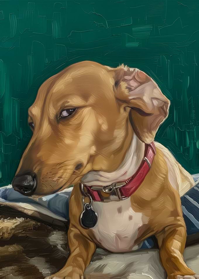 Funny Skeptical Dachshund Dog Meme