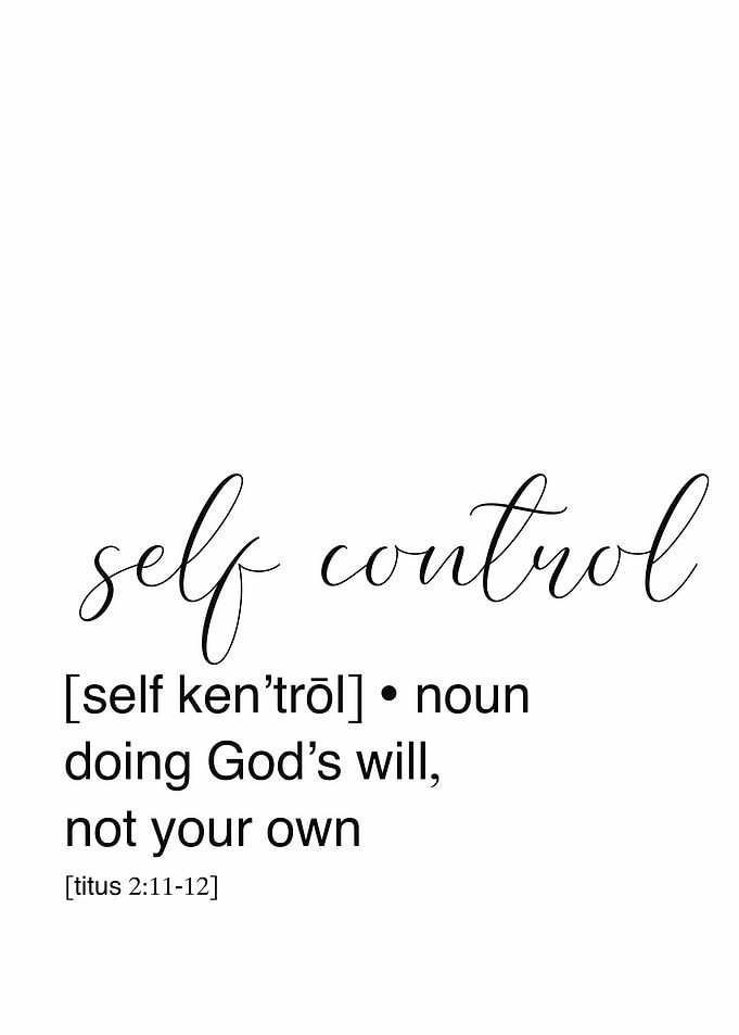 Self Control Definition