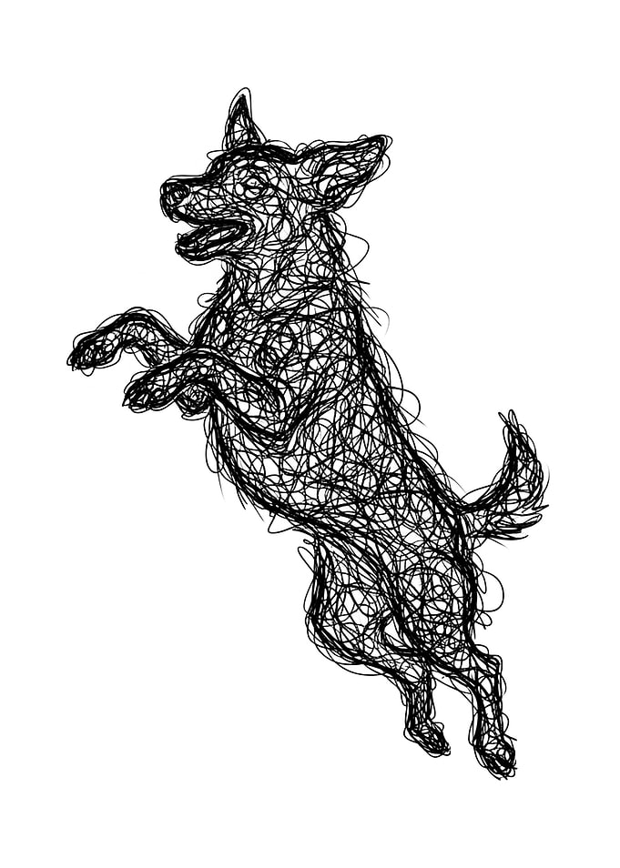 Scribble Art Dog Jumping