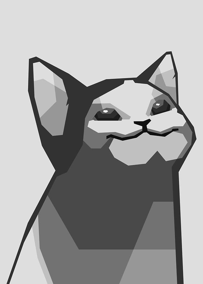 Pop Cat Meme