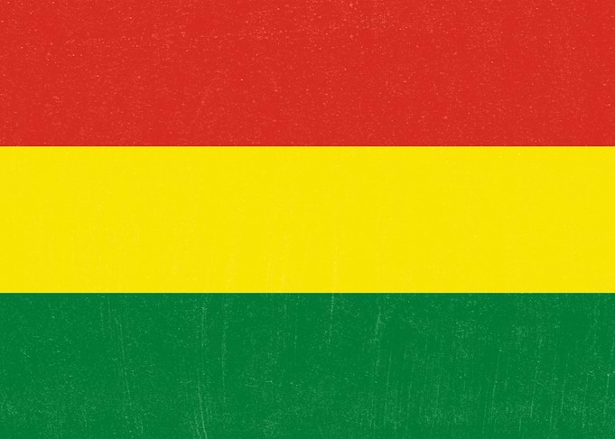 Bolivia Flag Distressed