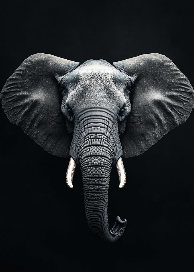 Close-up of an Elephant's Face